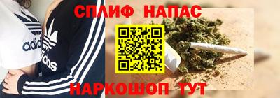 mdpv Брянск