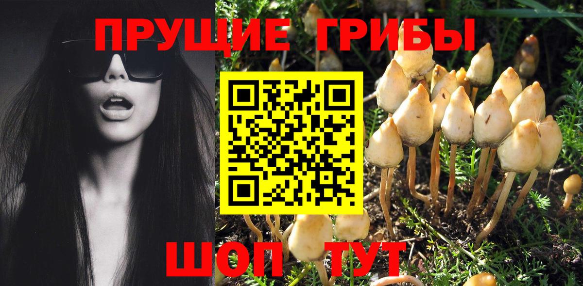 Псилоцибиновые грибы Psilocybine cubensis  Вход с VPN  Галлюциногенные грибы мухоморы  Асино 