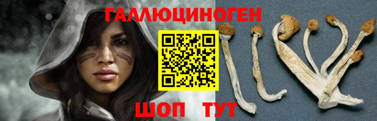 Псилоцибиновые грибы мицелий Асино